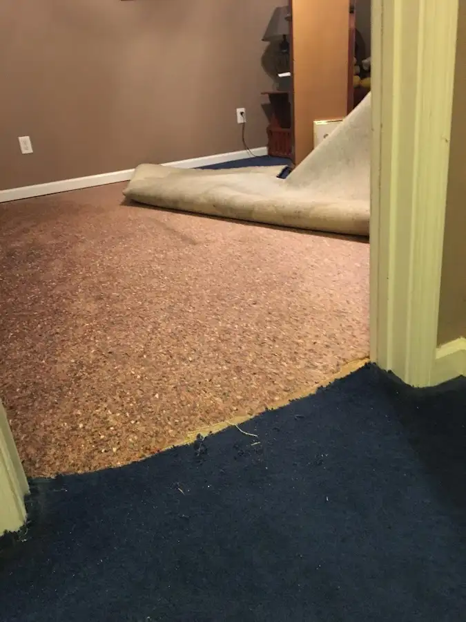 Carpet pad removal revealing water damage during Water Mitigation Services in Pocono