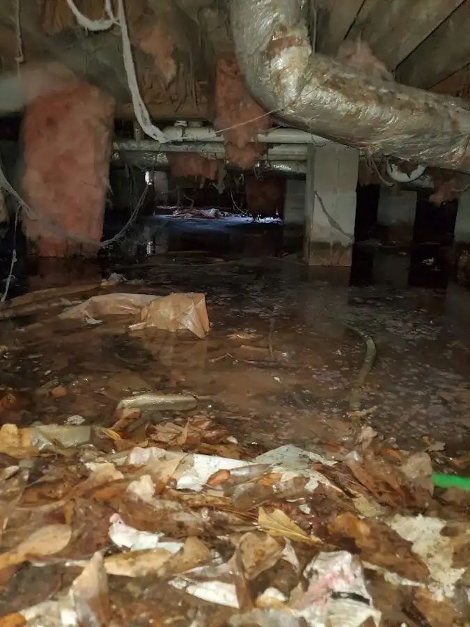 Crawl space flood assessment for Leak Detection & Repair in Pocono