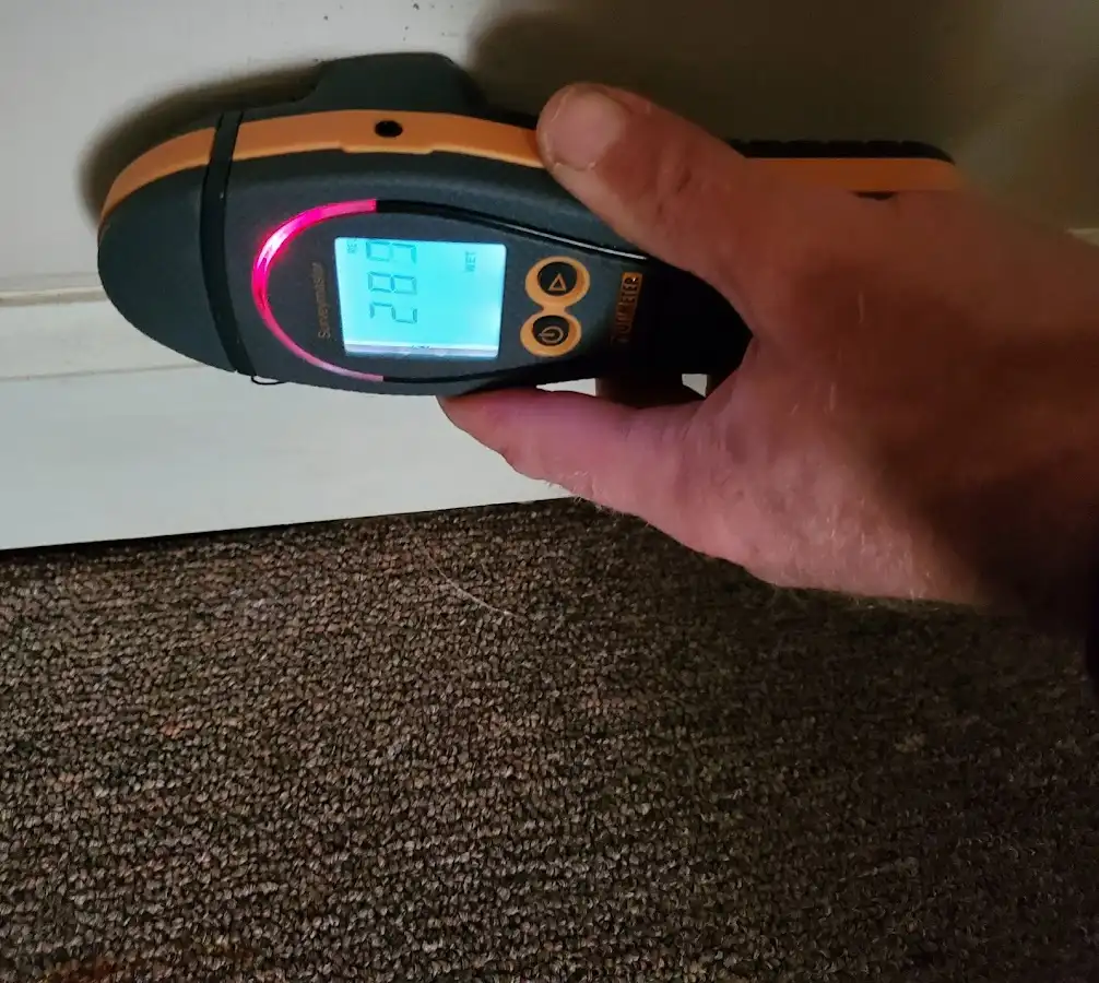 Moisture detection at baseboard during Sewage Cleanup & Sanitation in Pocono